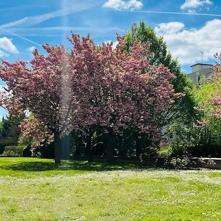 Studio Situe A 5 Min Du Chateau De Versailles Et Stationnement Gratuit Exterior photo