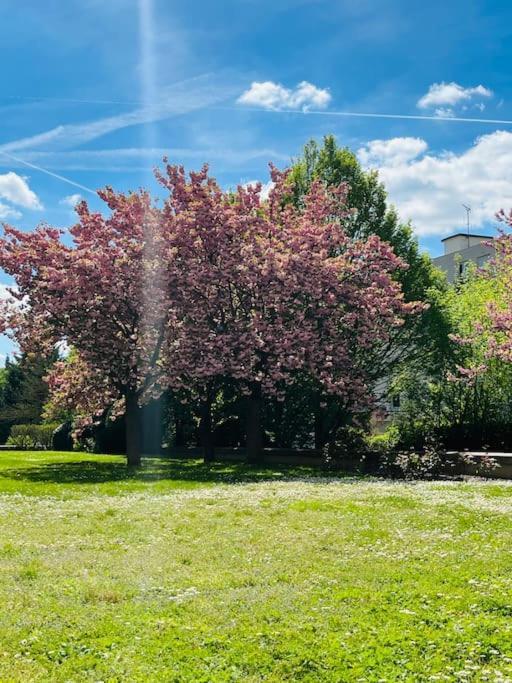 Situe A 5 Min Du Chateau De Et Stationnement Gratuit * Versailles